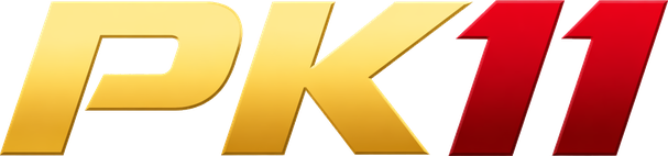 pk11 লোগো
